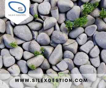 Silex Gestion: Oportunidades de Inversión seguras y rentables con garantía hipotecaria