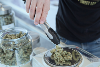Plus500, la primera plataforma de negociación de CFDs en ofrecer un índice de cannabis