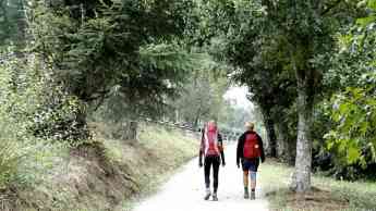 Noticias Ocio | Beneficios terapéuticos del Camino de Santiago