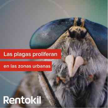 cartel 1