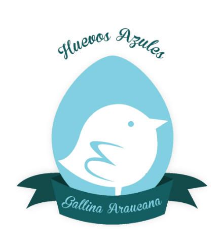 Huevos azules al alcance de todos gracias a Gallina Araucanas