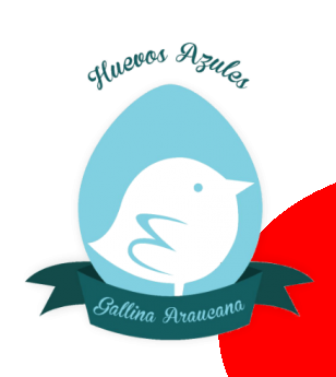 Gallina Araucanas