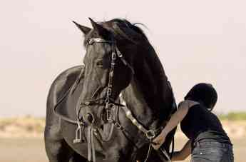 La equitación, algo más que un hobby, según Gala Equitación