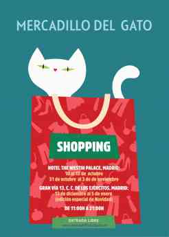 Noticias Madrid | Mercadillo del gato