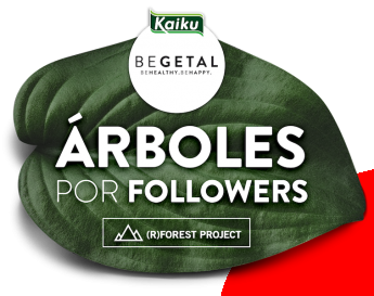 Noticias Marketing | KAIKU BEGETAL 