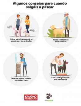 Noticias Madrid | Recomendación paseo con mascotas - COVID 19