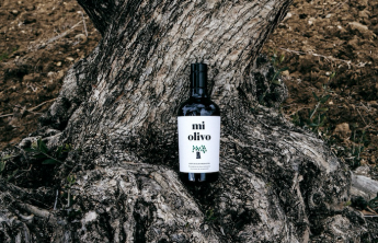 El proyecto ‘Apadrina un olivo’ recupera las raíces de Teca Sàbat con las tierras de Oliete