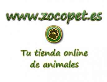 ZOCOPET - TIENDA DE ACCESORIOS PARA MASCOTAS