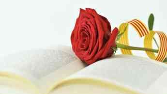 Sant jordi