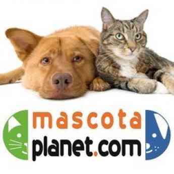 Mascota Planet aumenta su presencia online