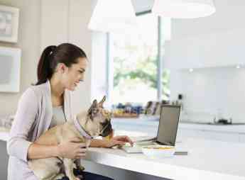 Compra Online Mascota Planet