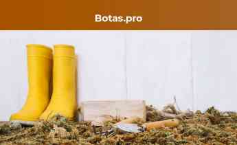 Noticias Nacional | Botas.pro