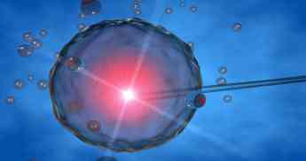 Las incertidumbres en torno a la COVID-19 aconsejan tomar medidas para preservar la fertilidad