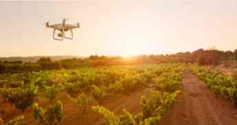 Atos lleva la IA mediante imágenes de drones y satélites a bodegas de Ribera del Duero