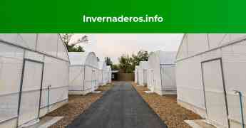  Guantes y ropa agrícola para invernadero según Invernaderos.info