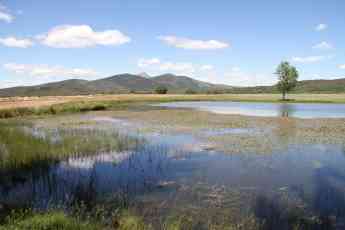 Nuevas ayudas para la creación, mejora o ampliación de infraestructuras públicas en zonas rurales