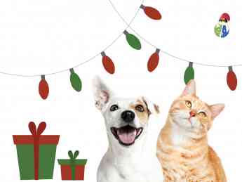 La Navidad en Mascota Planet