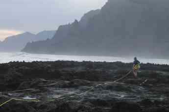 Investigadores de la ULL estudian los efectos del cambio climático en las especies costeras de Tenerife