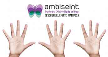 Noticias Franquicias | Ambiseint