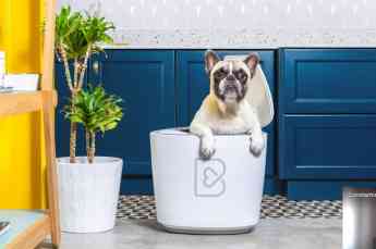 Barkyn lanza un dispositivo de IA para controlar la salud y la alimentación de las mascotas