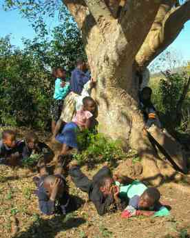 Noticias Marketing | Niños se abrazan a un árbol de Treedom en Kenya