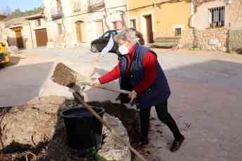 Foto de El Ayuntamiento de Pareja planta un nuevo olmo, resistente a
