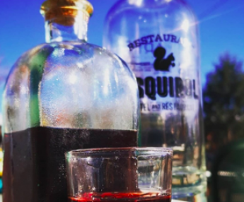 Hotel Esquirol