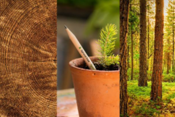 Noticias Historia | Sprout World