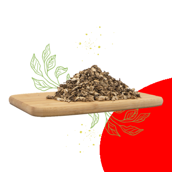 Cuidar el cuerpo de forma natural según Herboristería Las Plantas Naturales