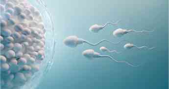 Claves para preservar la fertilidad en tiempos de la COVID