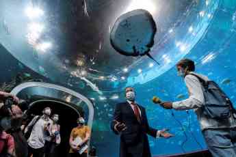 El gran acuario Poema del Mar reabre sus puertas al público tras más de 13 meses de cierre