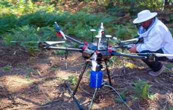 Drone Velutina, el sistema más rápido, seguro y eficaz contra la avispa asiática