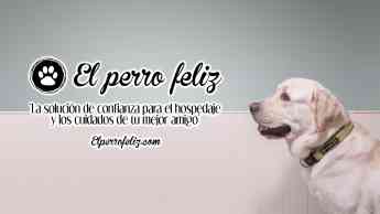 Noticias Franquicias | El Perro Feliz