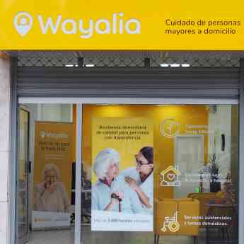 Noticias Franquicias | Wayalia sigue creciendo y supera las 15