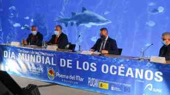 Foto de Día Mundial de los Océanos en el acuario Poema del Mar