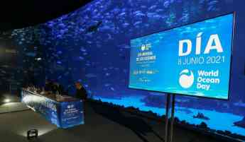 Foto de Día Mundial de los Océanos en el acuario Poema del Mar