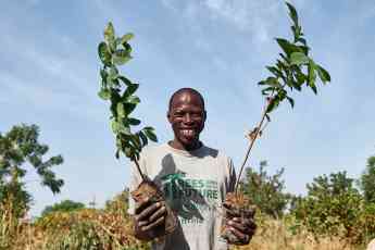 Smoking® colabora en el objetivo de plantar 54 millones de árboles en el África Subsahariana