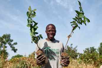 Noticias Marketing | Trees For the Future