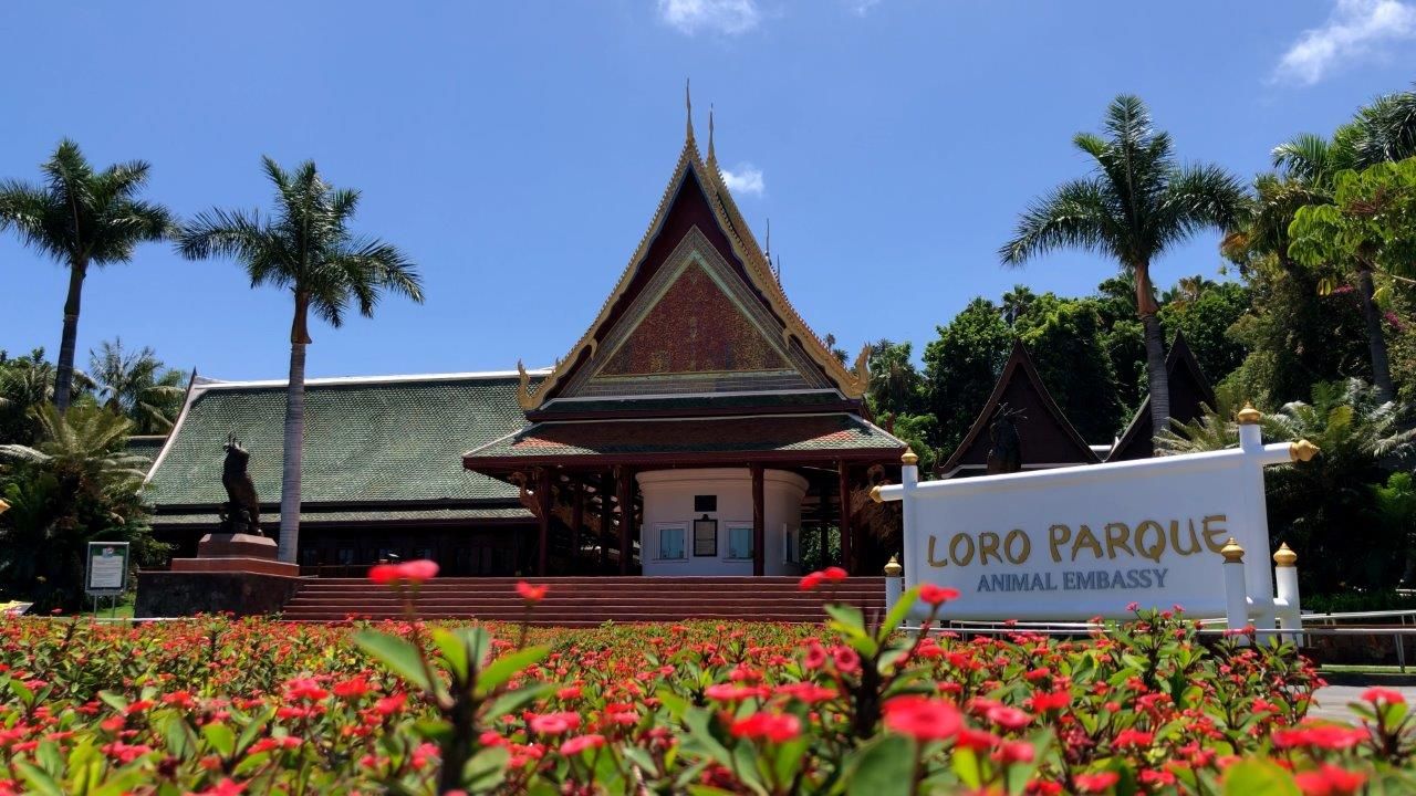 Fotografia Loro Parque y Siam Park amplían su horario de lunes a
