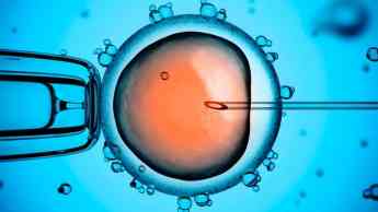 Activación mecánica asistida de óvulos en las fecundaciones  in vitro facilita el progreso de los embriones 