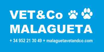 Foto de Malagueta VET&CO Logo