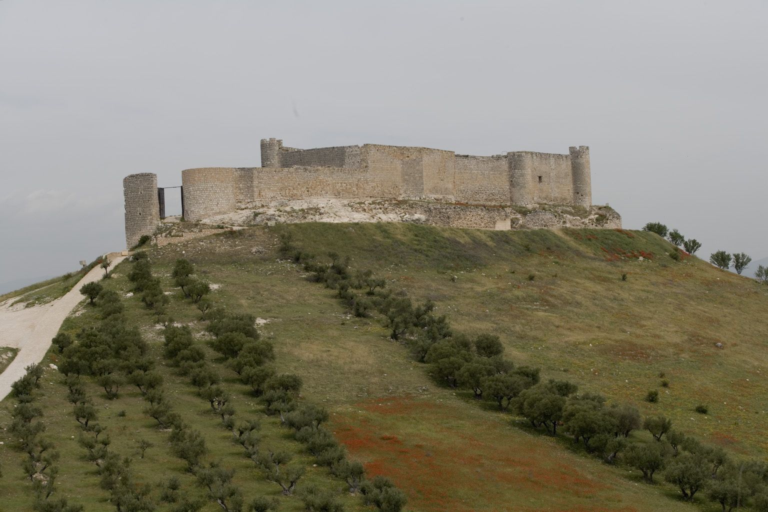 Foto de Ruta de los Palacios y Castillos en el Valle Del Henares