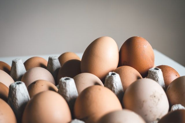 Foto de Diferencias entre huevos ecológicos y camperos 
