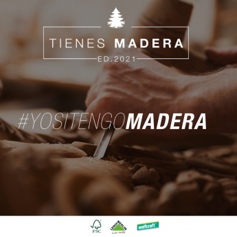 Noticias Artes Visuales | TIENES MADERA