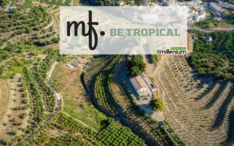 Be Tropical My Friend, la nueva tienda online de Tropical Millenium