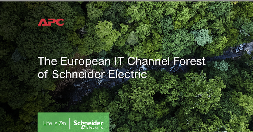 Fotografia Schneider Electric y los proveedores de IT plantan miles