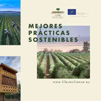 Life Resilience cierra 2021 con grandes avances contra la Xylella Fastidiosa
