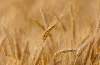 La agricultura ecológica, la filosofía y el estilo de vida en el que se basa Productos Monti
