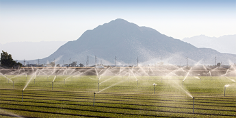 Clúster GAIA colabora en proyecto para promover la gestión inteligente del agua en la industria alimentaria