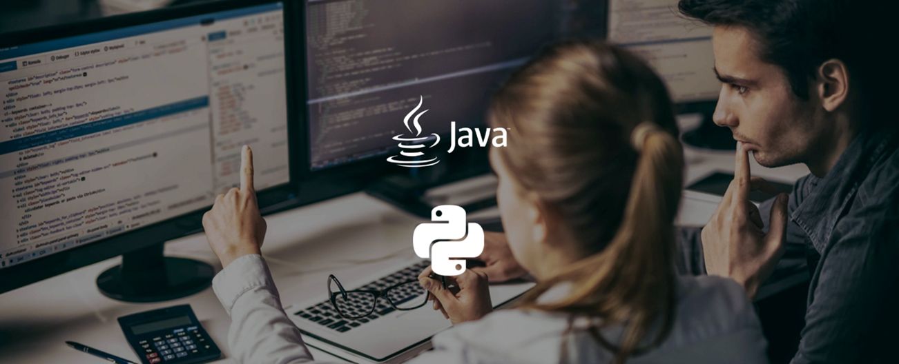 Talio y Enkarterri ponen en marcha un curso gratuito de Desarrollo web con Python y Java